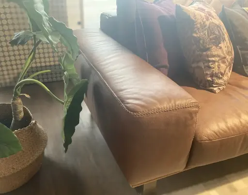 W. Schillig Ledersofa 23650 - Ausstellungsstück im Abverkauf in Bäumenheim